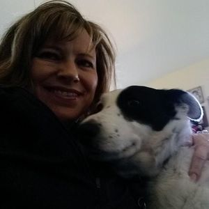 Meet your Posher, Patty